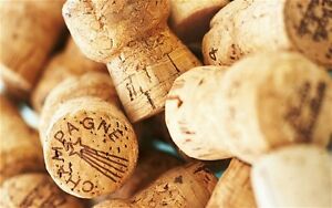 Used Classic Champagne Style Corks - Ideal for Craft. Fast Dispatch from UK