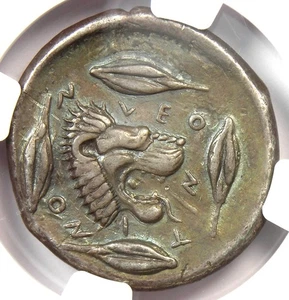 Sicily Leontini AR Tetradrachm Lion Apollo Silver Coin 450 BC - Certified NGC VF - Picture 1 of 7