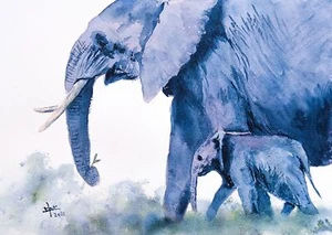Elephant #1 - Watercolour - Picture 1 of 3