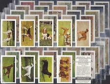 HORNIMAN (TEA)-FULL SET- DOGS 1961 (48 CARDS) EXCELLENT