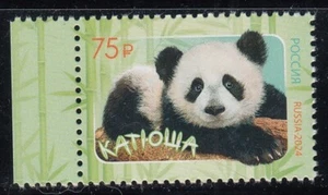 Russia 2024 Panda Bear 1 stamp - Picture 1 of 1