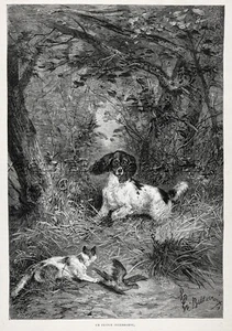 Perro Cocker Spaniel y Arlequín Gato Persecución Mismo Pájaro, Estampado Antiguo Grande Años 1880 - Imagen 1 de 4