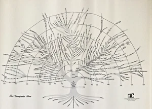 "Computer Tree" Poster a Visual Representation of the Evolution Computer 24 X 18 - Afbeelding 1 van 12