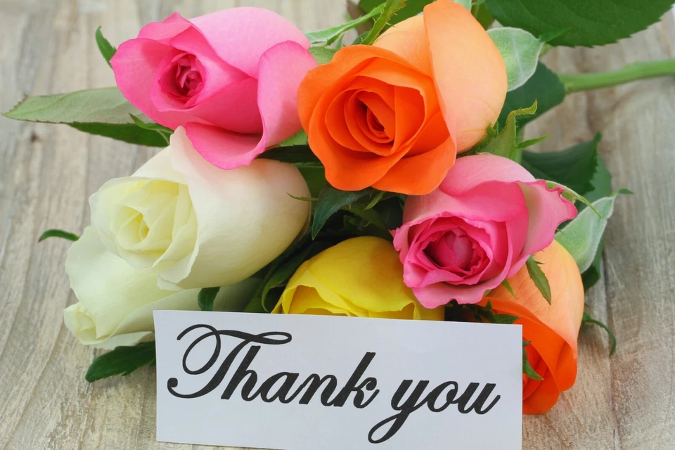 [ Exclusive for  viorelp2007   ]  OEM 8ea  Fedex/Ems - Image 1 of 1