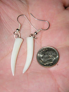 TOOTH Earrings Mother of Pearl White Shell HORN Style REAL Silver Ear Wires NEW! - Picture 1 of 5