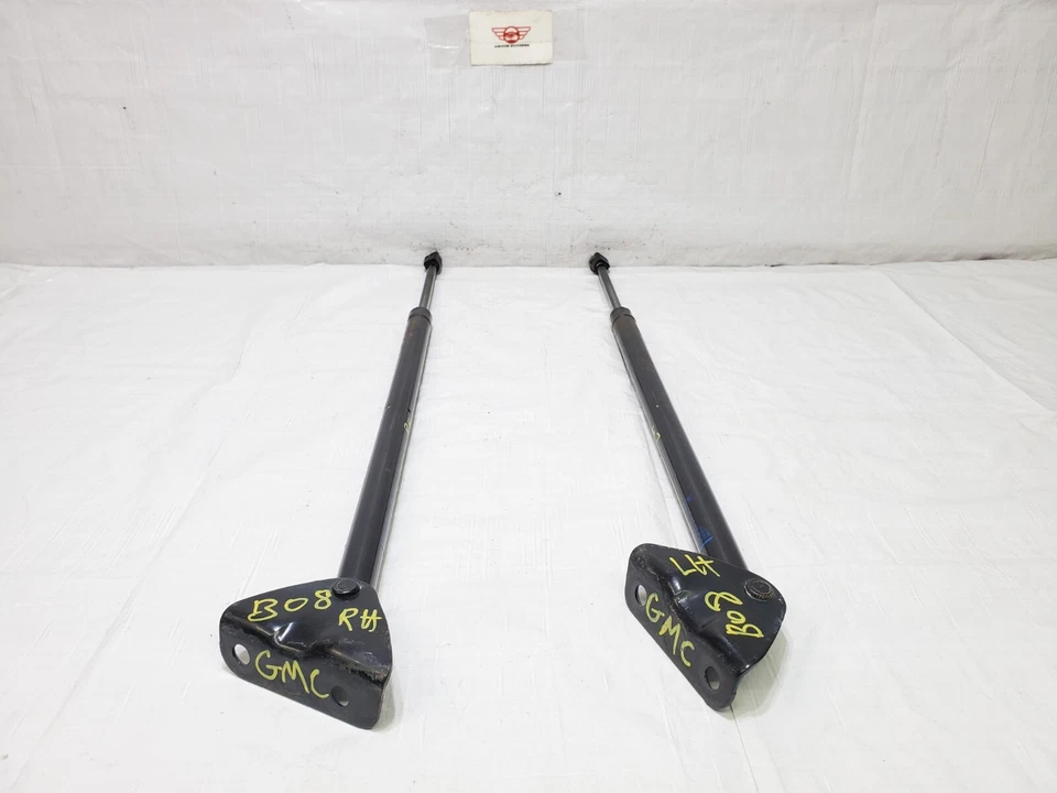 2010-2017 GMC Terrain Liftgate Left & Right Power Lift Cylinder Strut Set OEM - Imagem 1 de 4
