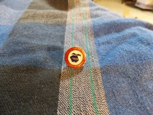 PESPA Pinellas Educational support Personnel Association ENAMEL LAPEL PIN 5/8" - Picture 1 of 3