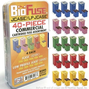 JCASE & LP (Low Profile) JCASE 40-Piece Commercial Cartridge Fuse Assortment ... - Picture 1 of 8