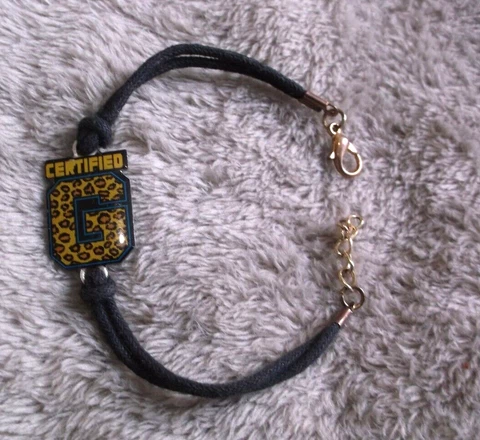 WWE 2016 Certified G  Bracelet ~ 7 3/4" Cover