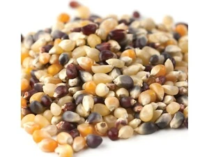 Rainbow Bulk Popcorn 3 libbre kernel popcorn spedizione gratuita - Foto 1 di 1