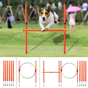 Attrezzatura addestramento cani/cerchio/ostacolo salti agilità animali domestici da esterno cortile - Foto 1 di 28