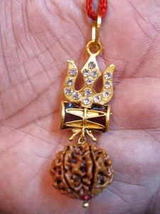 6 CIONDOLI MUKHI (FACCIA) RUDRAKSHA TRISHUL DAMARU ~ORIGINE NEPALE ~AAA++QUALITÀ - Foto 1 di 2