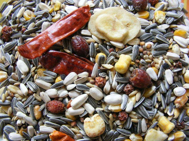 Papageienfutter Premium 10 kg Früchte getrocknet ohne Erdnüsse - Bild 1 von 1