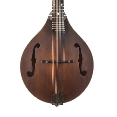 Мандолина Eastman MD305 300 серия стиль A - Изображение 1 из 4