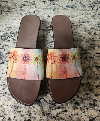 Zapato de palmera con cuña paso suave cambio rápido (intercambiable) talla 9 Foto 1 de 4