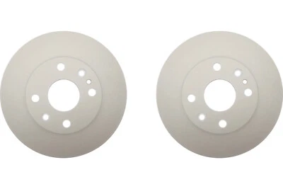 KIT delantero Raybestos rotor de freno de disco para Kia Rio 2001-2002 (66874) Foto 1 de 4