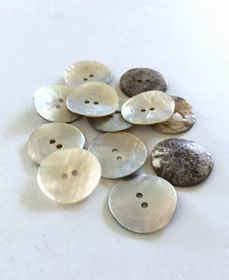 12 Buttons Off White Iridescent Natural Real Shell 2-Hole Sew Sewing 25 mm #SH1 - Image 1 of 4