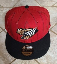 Fresno Grizzlies Red/Black Pinstripe Snapback Hat Cap New Era 9fifty NWT MILB