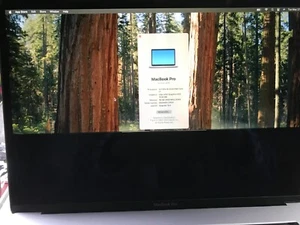 Apple MacBook Pro A1990 15.4 2018 i7 2.2GHz 16GB 256GB Gray Bad Screen #920 - Picture 1 of 7