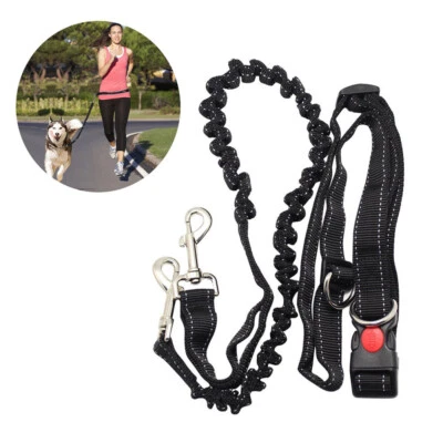 leashes for large breed dogs Dog Leash Sturdy Waist Belt Leash Bungee Harness - Image 1 of 4