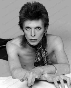 8x10 Print David Bowie Rock Superstar Icon #DB01 - Picture 1 of 1