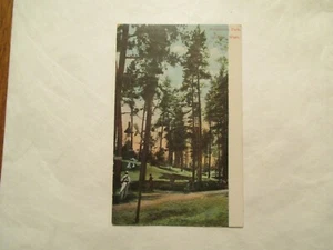 Spokane Washington Postcard Natatorium Park WA WN - Picture 1 of 2