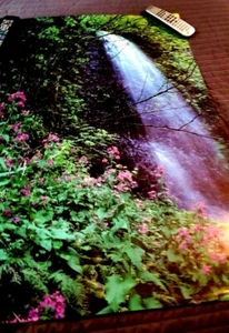 Poster 1985, Joanne & Jerry Pavia - Foto 1 di 1