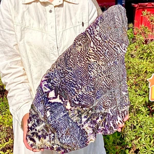 10.27LB Rare Zebra Stone Slices - Soul Healing Stone - Unique Discovery - Imagen 1 de 12