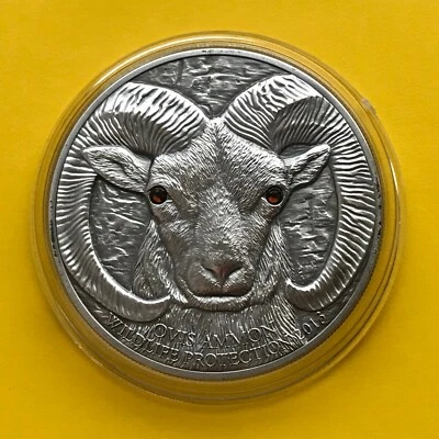 Mongolia Silver coin 500 Togrog  2013  1 Oz  ARGALI   - Image 1 of 4