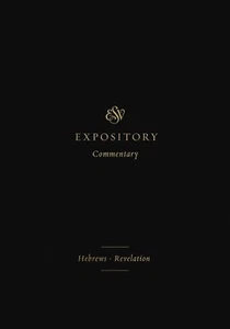 ESV Expository Comm. Hebreos - Apocalipsis - Imagen 1 de 1