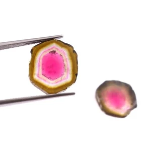 Loose Gemstone Natural Bio Watermelon Tourmaline Smooth Polished Slices A1940 - Picture 1 of 4