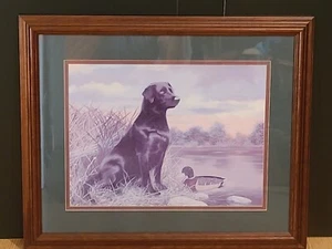 Vintage Home Interiors Black Labrador Picture By Andrew Chapman 18-1/2" X 22-1/2 - Picture 1 of 7