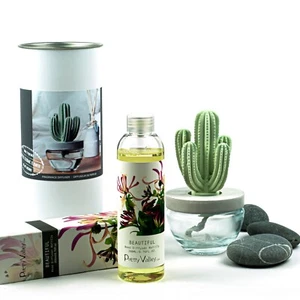 Pretty Valley Home Cactus Gypsum Ceramic Diffuser Combo (Beautiful) 200ml - Picture 1 of 4