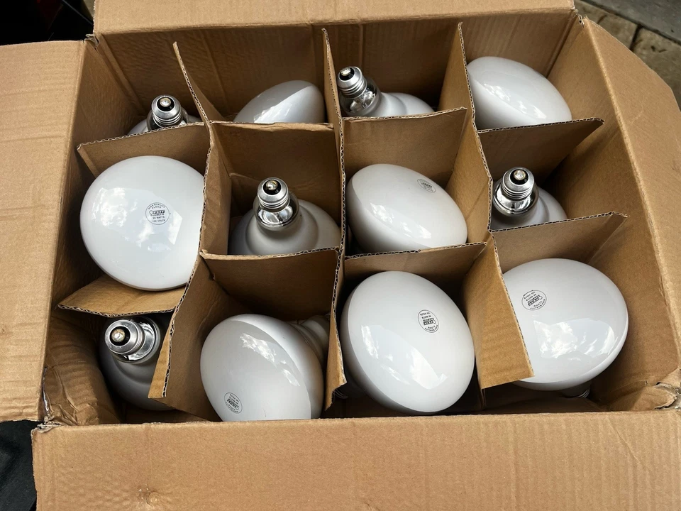 Feit BR 40 65W Indoor Flood Light Bulbs White Pack of 12 **BOX DAMAGE** - Image 1 of 4