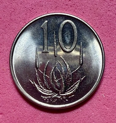 South Africa 10 Cents 1965 Aloe Plant Afrikaans Legend UNC Proof - Image 1 of 2