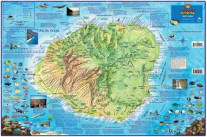 Kauai Hawaii Dive & Snorkeling Guide Map Laminated Poster by Franko Maps - Bild 1 von 4