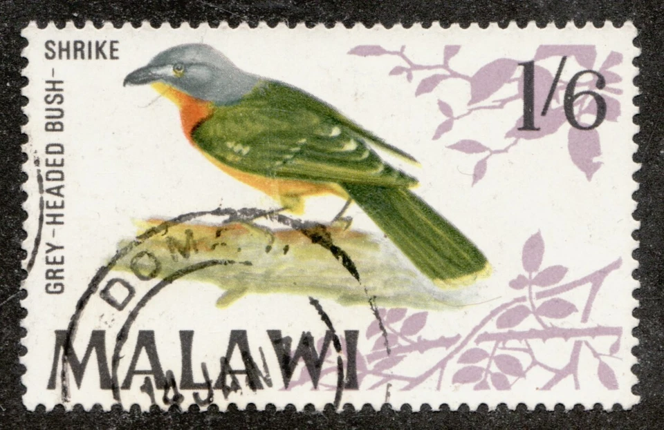 Rare : 1968 Malawi Sc #102 - 1/6 Grey Headed Bush-Shrike Bird - VF Used - Image 1 of 1