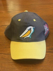 VTG MiLB Myrtle Beach Pelicans Stretch Fitted SGA One Size - Picture 1 of 8