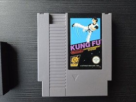 Kung Fu Nes