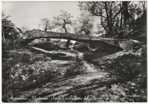 APPENNINO MODENESE - MODENA - PONTE ERCOLE DETTO DEL DIAVOLO -72408- - Picture 1 of 1