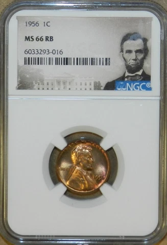 1956 P Lincoln Wheat Cent MS 66 RB - NGC Red Brown Wheat Penny [206] Cover
