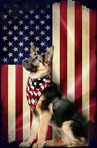 Pastore tedesco GSD K-9 bandiera americana USA Patriot 12"x18" bandiera da giardino SGF100 - Foto 1 di 2