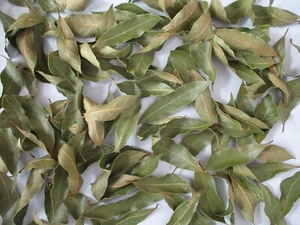 X100 Organic Naturally Dried Whole Bay Leaves ‘Laurus Nobilis’ No Chemicals - Picture 1 of 18