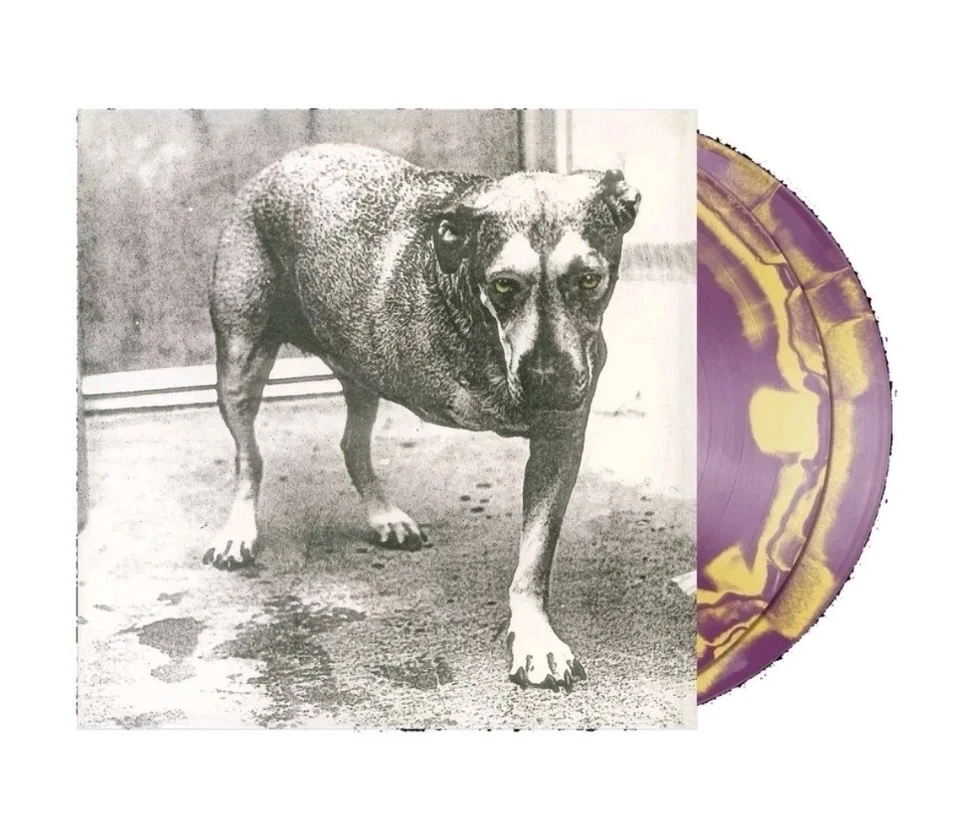 Alice in Chains Purple & Yellow Swirl Self-Titled S/T D2C 30th Vinyl LP  PRESALE - Image 1 of 1