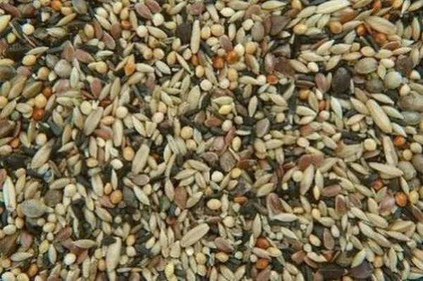 Waldvogelfutter 25 kg Vogelfutter Wildvogel Streufutter Winterfutter ohne Rübsen - Bild 1 von 1