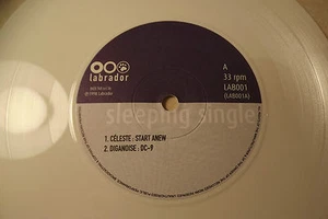 Sleeping Single....LAB 001...33 RPM - Picture 1 of 4