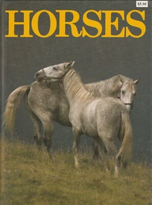 HORSES BY ANGELA SAYER, 1984 - Bild 1 von 1