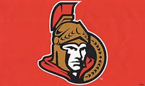 Huge High Quality 3' x 5' Ottawa Senators NHL Licensed Flag - Free Shipping Cover