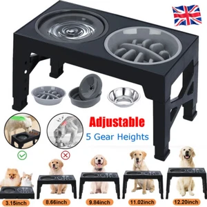 Elevated Dog Bowl Pet Feeder Stainless Steel Raised Food Water Stand with Bowls - Picture 1 of 19
