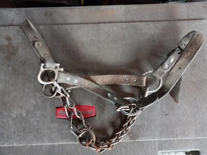 Heavy Duty Leather Cow Halter - Picture 1 of 3